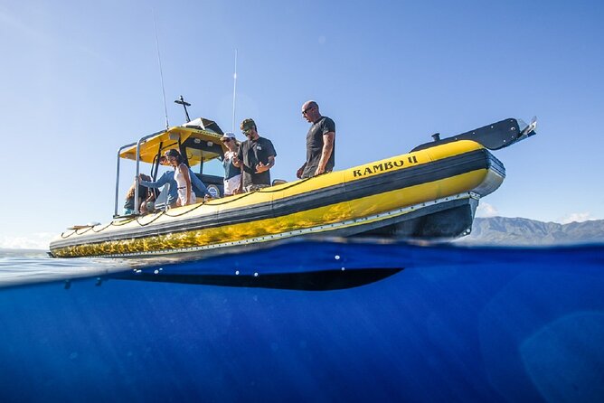 Shark-Dive Tour on Oahu's North Shore - Scheduling and cancellation details
