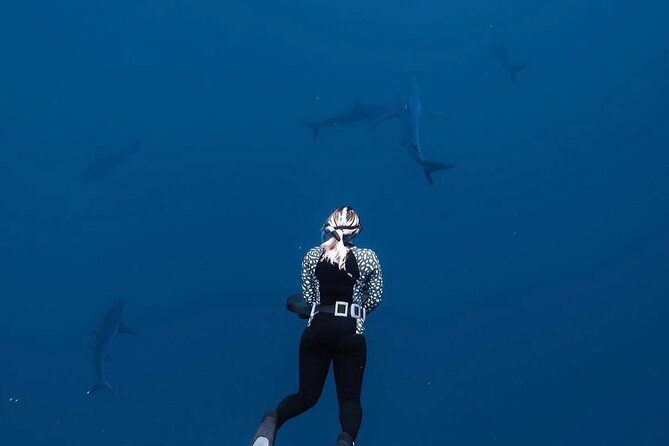 Shark Diving and Snorkeling in Oahu Hawaii - The safety briefing sets the tone