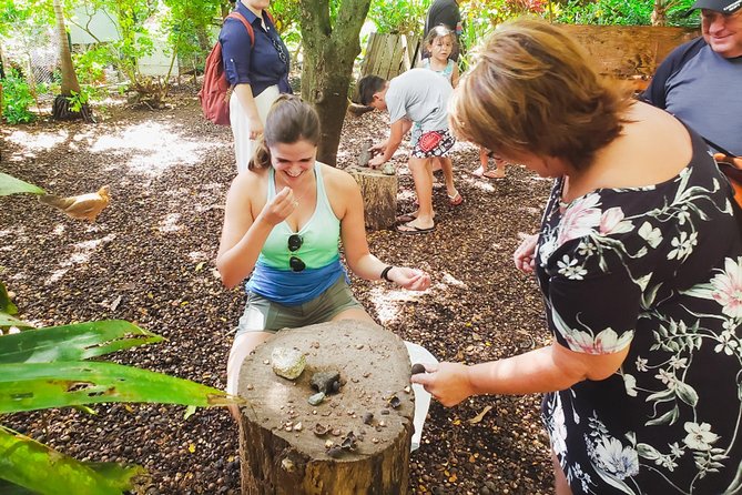 Sights & Bites Ultimate Oahu Circle Island Foodie Tour - Macadamia samples at Tropical Farms