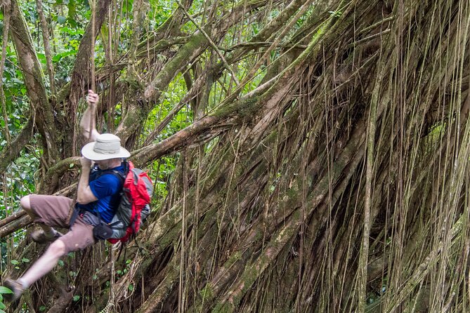 Skip the Crowds: Secret Oahu Half Circle Tour with a Local - The Pali connects scenery with Hawaiian history