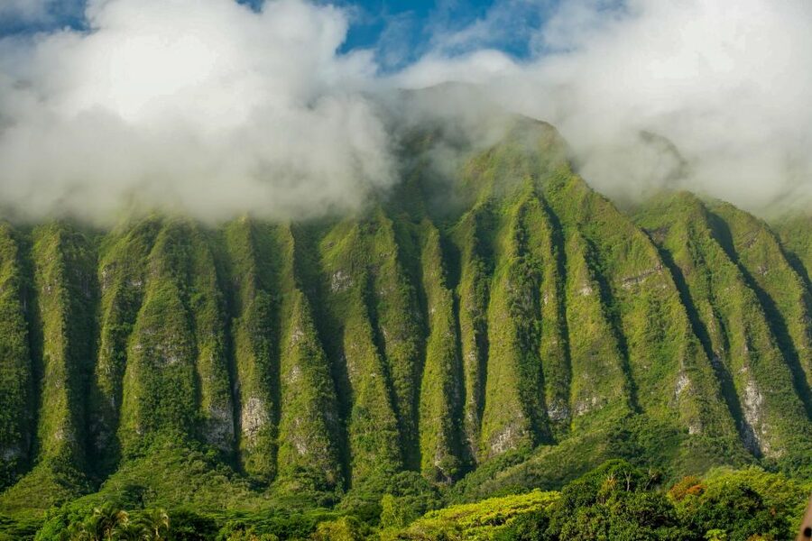 Small Group 3 Hour Honolulu Sunrise Tour with Malasadas - Key points to know before sunrise