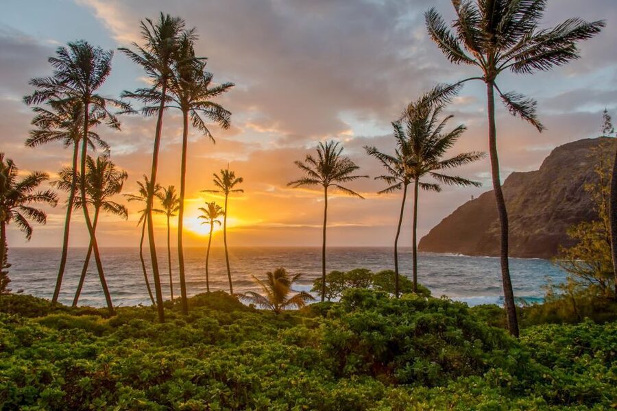 Small Group 3 Hour Honolulu Sunrise Tour with Malasadas - Why an early start can be worth it