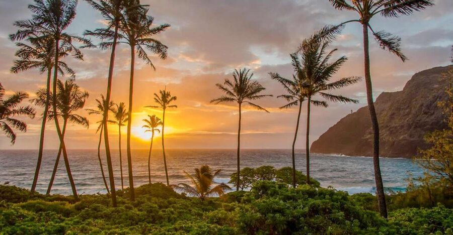 Small Group 3 Hour Honolulu Sunrise Tour with Malasadas - What $70 buys you