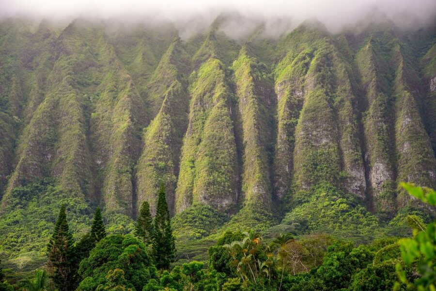 Small Group 3 Hour Honolulu Sunrise Tour with Malasadas - Should you book the Golden Sunrise Tour?