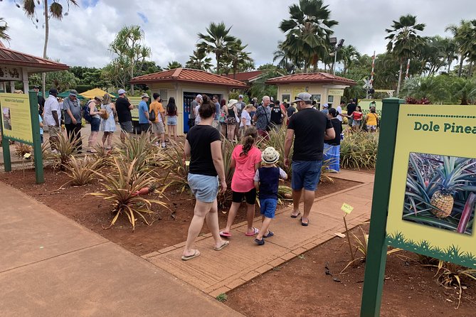 Small Group-Oahu Tour, Dole Plantation, Northshore, Sunset Beach - Waimea Bay and the power of winter surf