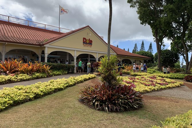 Small Group-Oahu Tour, Dole Plantation, Northshore, Sunset Beach - Honolulu landmarks beyond the beaches