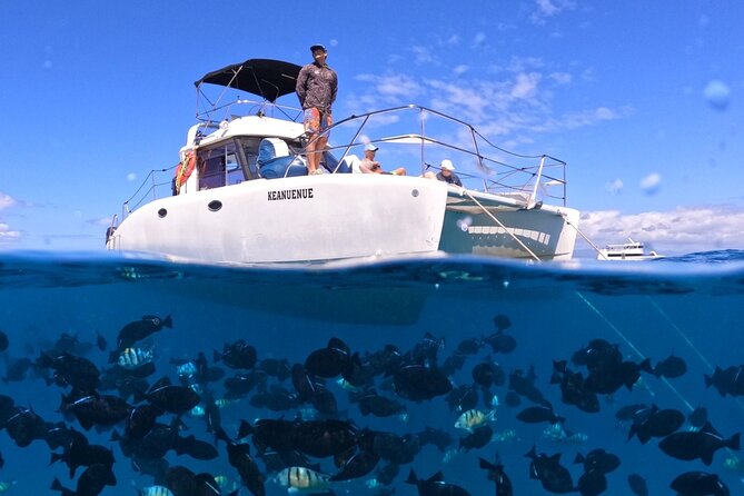 Small Group Turtle Canyon Snorkel in Waikiki (Boat Tour) - Key points at a glance
