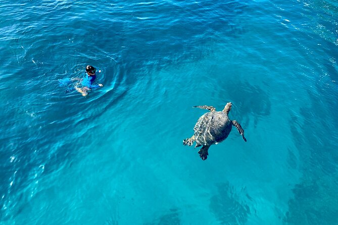 Small Group Turtle Canyon Snorkel in Waikiki (Boat Tour) - Getting ready for the water