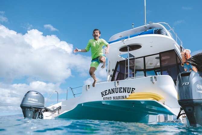Small Group Turtle Canyon Snorkel in Waikiki (Boat Tour) - Turtle Canyon’s green sea turtles and reef life