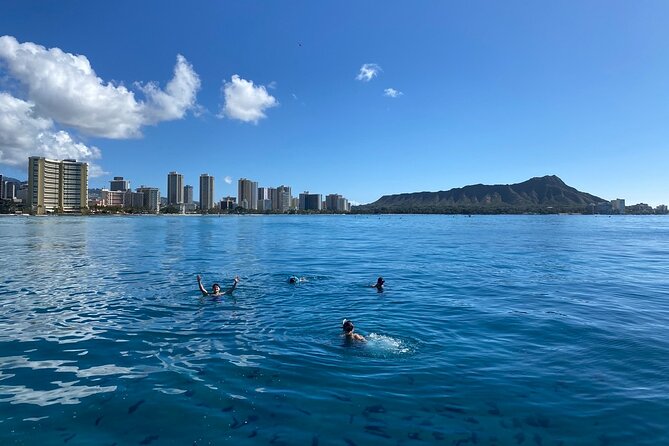 Small group Turtle Snorkel (16 people max): Sightings Guaranteed - Meeting turtles and reef life
