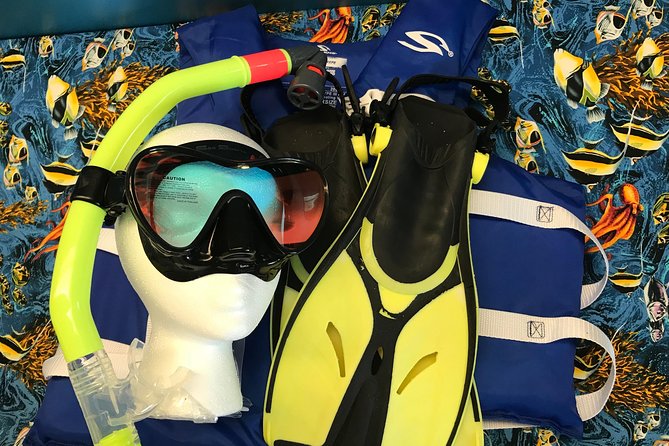 Snorkel Gears near Hanauma Bay - What the snorkeling day feels like