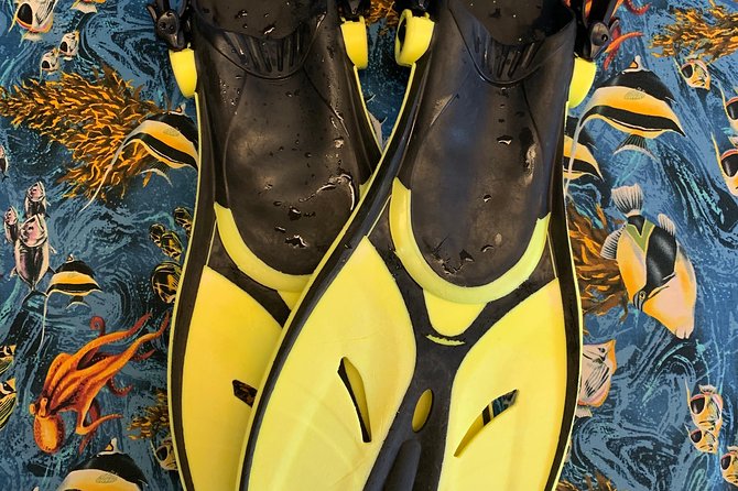 Snorkel Gears near Hanauma Bay - Is the rental cheaper than a guided tour?
