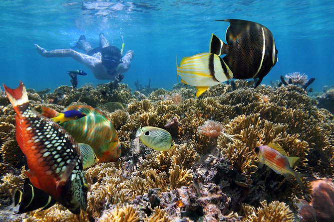 Snorkel Gears near Hanauma Bay - Staff help is a real part of the value