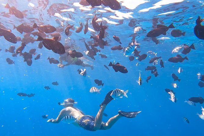 Snorkeling Adventure at Turtle Canyon - The boat ride sets the mood