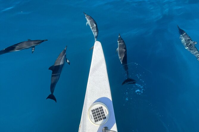 Snorkeling Adventure at Turtle Canyon - Time in the water versus time on the boat