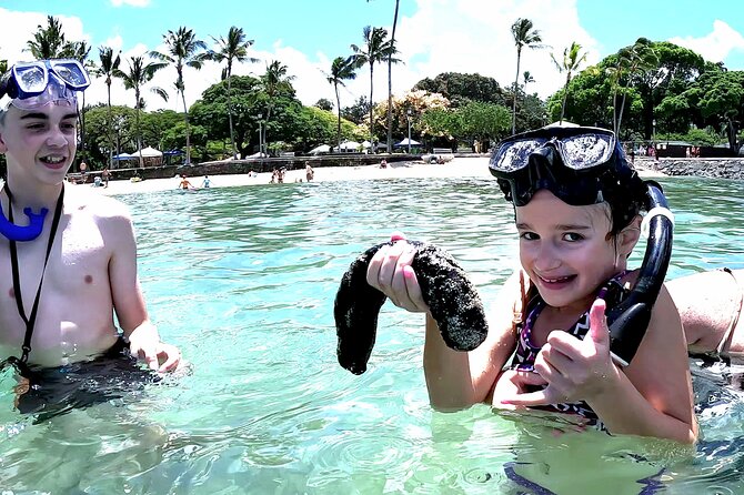 Snorkeling in Waikiki Many Fish All Levels Free Video & Pics! - Key points to know before booking