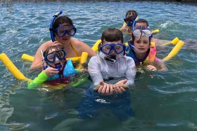 Snorkeling in Waikiki Many Fish All Levels Free Video & Pics! - Fish spotting in a protected Waikiki area