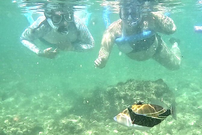 Snorkeling in Waikiki Many Fish All Levels Free Video & Pics! - Equipment, footwear, and the question of fins
