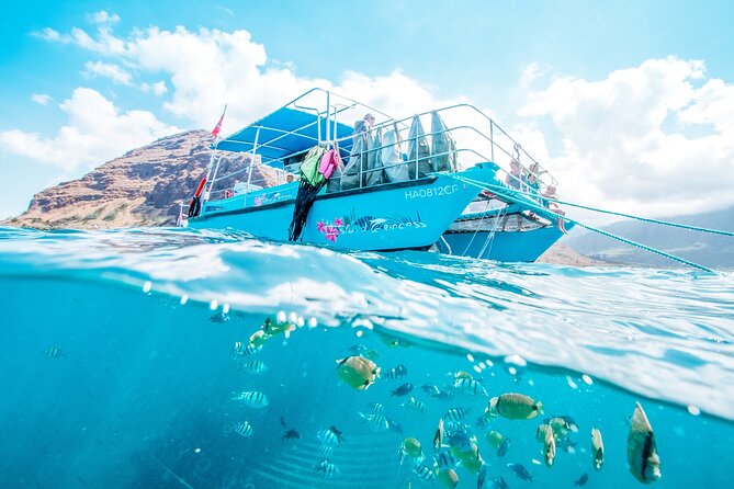 Snorkeling with Sea Turtles in Waikiki Hawaii Boat Tour - Leaving Kewalo Basin for Turtle Canyon