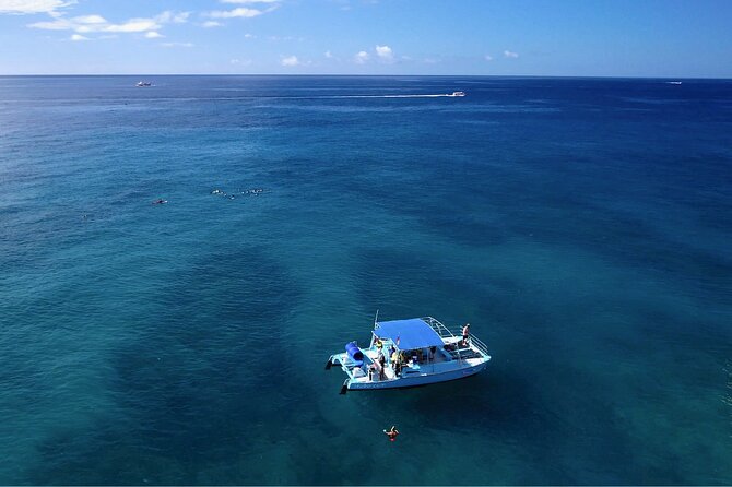 Snorkeling with Sea Turtles in Waikiki Hawaii Boat Tour - Family suitability depends on water confidence