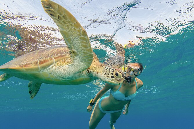 Snorkeling with Turtle/Water Scooter/Paddleboard Adventures Oahu - Snacks make the three-hour outing easier
