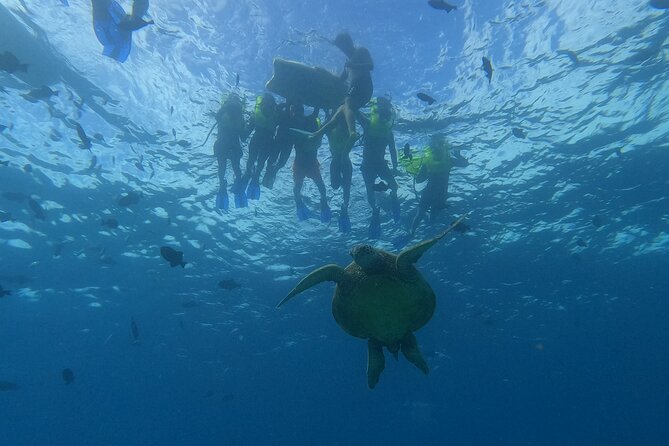 Snorkeling with Turtle/Water Scooter/Paddleboard Adventures Oahu - Waikiki brings the tour back to Oahu’s famous shore