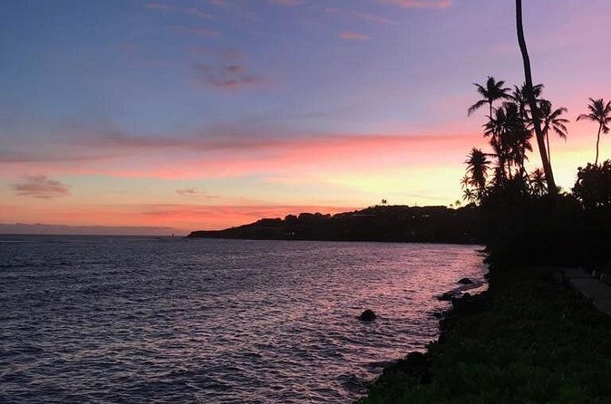 South Shore Aloha Friendly Tour - A private vehicle changes the value of the day