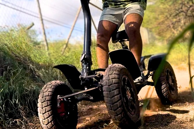 Stand Up ATV/Quad Jungle Trail Adventure - The rugged trail and its obstacles