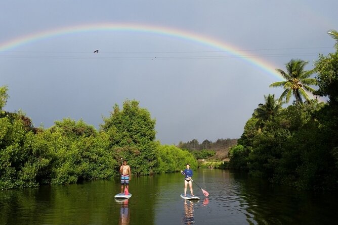Stand Up Paddle Nature and Turtle tour-Guaranteed to see turtles - Key points to know before booking