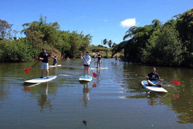 Stand Up Paddle Nature and Turtle tour-Guaranteed to see turtles - The North Shore location and meeting point