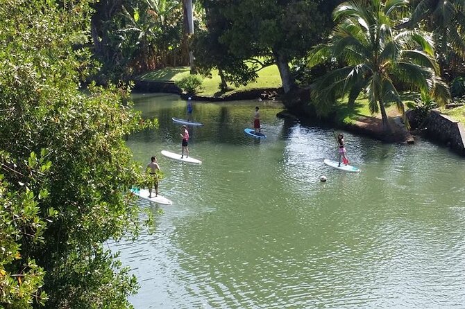 Stand Up Paddle Nature and Turtle tour-Guaranteed to see turtles - What the $172.77 price means