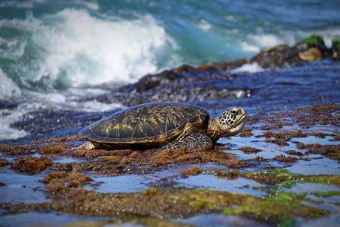 Sunrise Plus Island Tour - What the photography coaching adds