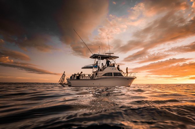 Sunset Cruise along Waikiki Coastline - Who should book this Waikiki sunset cruise
