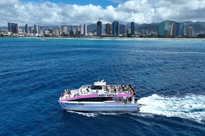 Sunset Cruise & Whale Watching from Oahu - Weather, waves, and what to wear