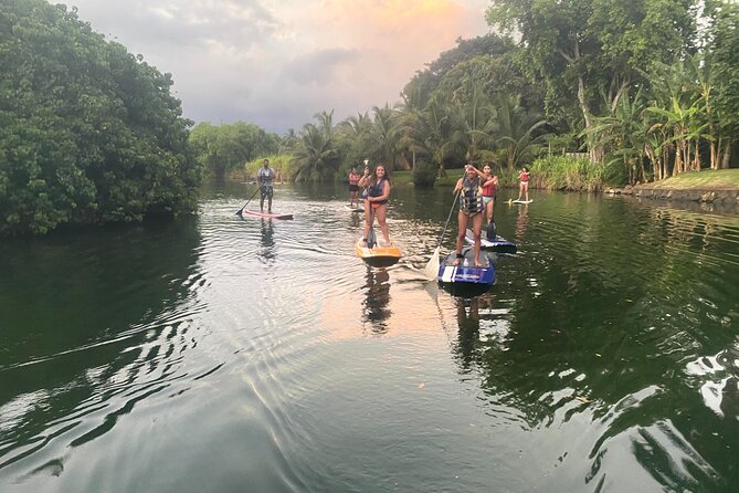 Sunset Stand Up Paddle with Photos and Turtles - Sunset colors over quiet water