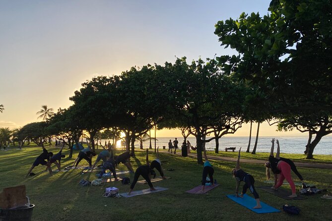 Sunset Yoga Flow at Magic Island - Magic Island sets the tone before class begins