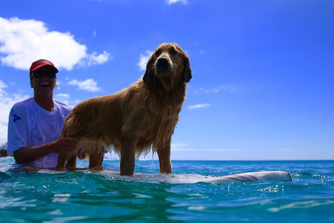 Surf Lessons on the North Shore of Oahu - Key points to know before booking