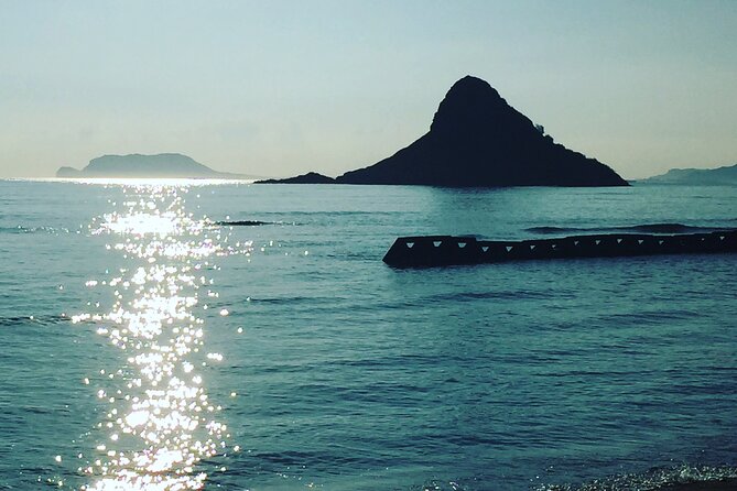 Surf or Kayak or Standup Paddle board in Lanikai, Kailua, Oahu - What the strongest praise tells you