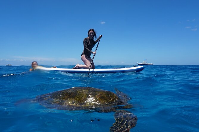 Swim with Dolphins Catamaran with Waterslide & Lunch on Oahu - Seasickness, swimming ability, and family fit