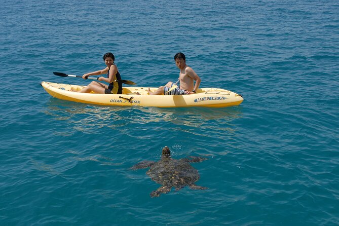 Swim with Dolphins Catamaran with Waterslide & Lunch on Oahu - When the west coast trip works best