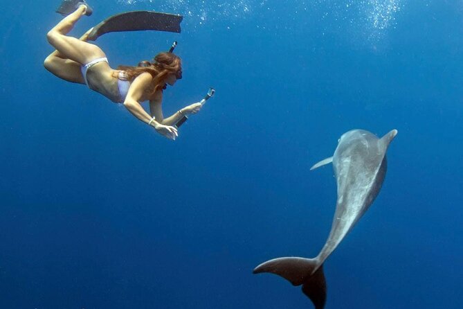 Swim with Dolphins Catamaran with Waterslide & Lunch on Oahu - Booking, cancellation, and other useful details