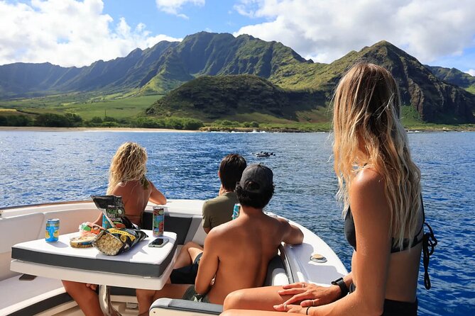 Swim With Dolphins & Turtles in West Oahu (Semi-Private Tours) - Who Should Book This West Oahu Excursion?