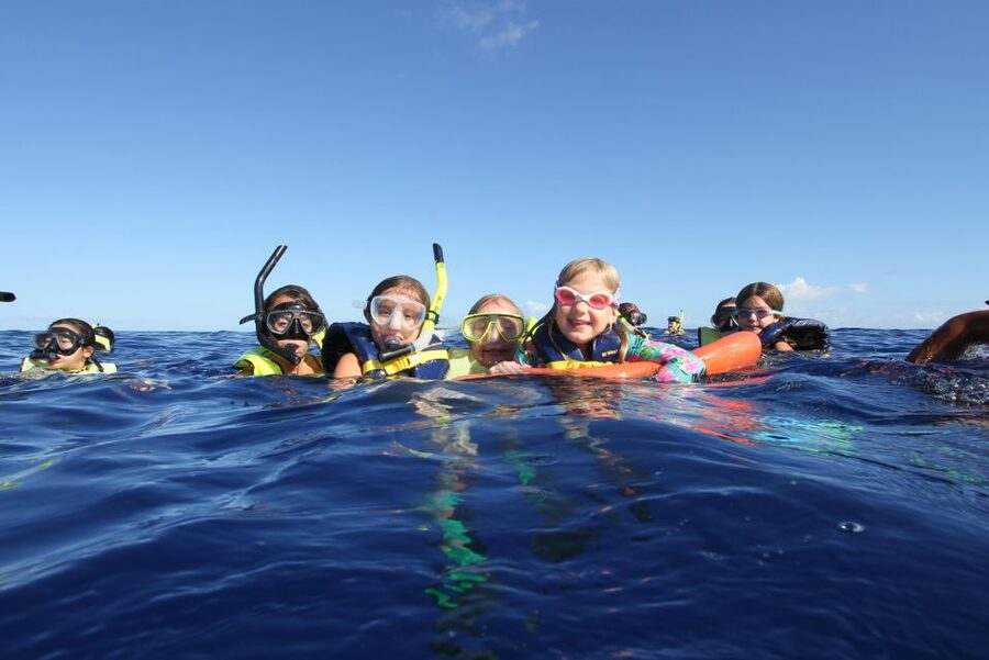Swim with Wild Dolphins Oahu Speedboat Snorkeling Adventure! - Finding wild dolphins in open water