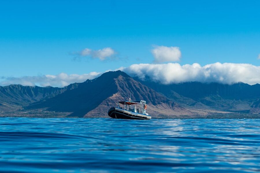 Swim with Wild Dolphins Oahu Speedboat Snorkeling Adventure! - Whale season from December through March