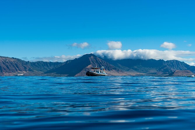 Swimming with Wild Dolphins Speedboat Adventure on Oahu - A West Oahu Coast Cruise with Seasonal Whales