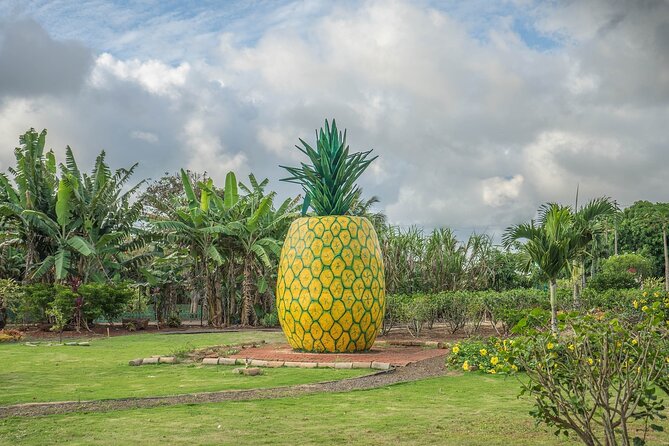 "The Dole Plantation" & "North Shore" Private Limousine VIP Tour! - Three hours among pineapples at Dole Plantation