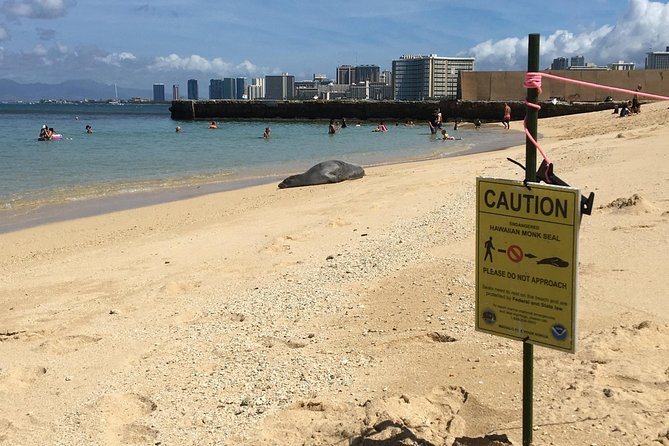 The East Waikiki Walking Tour - Sustainability Without the Lecture