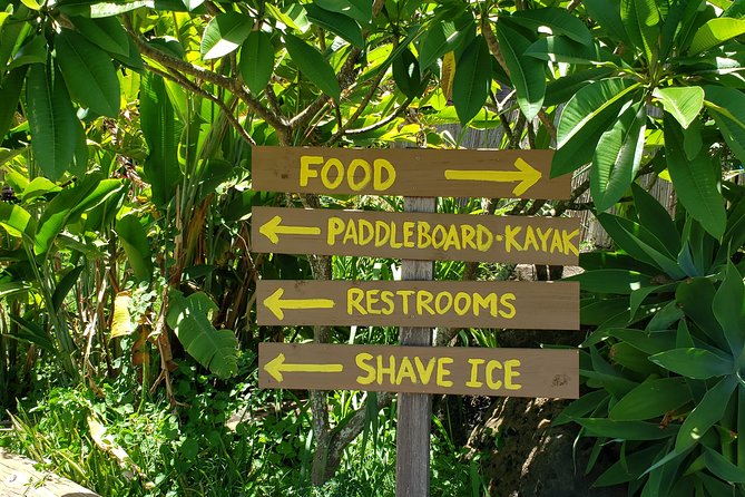 Tour of North Shore & Waimea Waterfall - Waimea Valley is the day’s best use of time