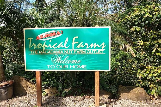 Tour of North Shore & Waimea Waterfall - Dole Plantation is a short stop, not a plantation tour