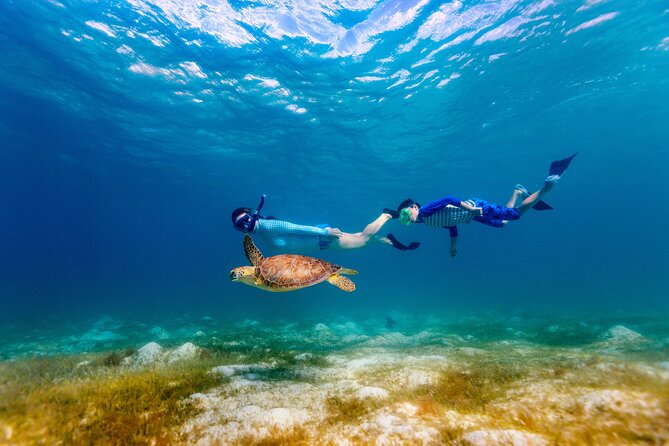 Turtle Canyon Snorkel Adventure - Small Group 6 Passengers - Leaving Kewalo Basin Harbor for a Waikiki view